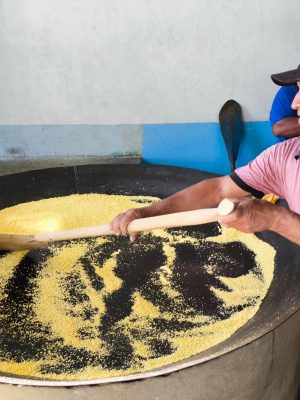Com objetivo de disseminar tecnologias de cultivo de mandioca e produção de farinha, o Instituto de Desenvolvimento Agropecuário e Florestal Sustentável do Estado do Amazonas (Idam) promove, até sexta-feira (30), curso de “Boas Práticas de Fabricação de Farinha”, em Tonantins (a 865 quilômetros de Manaus).