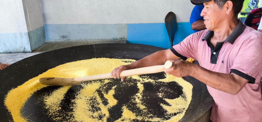 Com objetivo de disseminar tecnologias de cultivo de mandioca e produção de farinha, o Instituto de Desenvolvimento Agropecuário e Florestal Sustentável do Estado do Amazonas (Idam) promove, até sexta-feira (30), curso de “Boas Práticas de Fabricação de Farinha”, em Tonantins (a 865 quilômetros de Manaus).