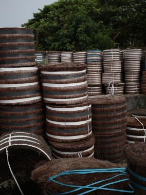 O governador Wilson Lima abriu, na segunda-feira (15), o edital de credenciamento na subvenção econômica da piaçava, um apoio financeiro pago pelo Governo do Amazonas que garante renda extra e valoriza o trabalho dos extrativistas. O benefício, sob a responsabilidade da Agência de Desenvolvimento Sustentável do Amazonas (ADS), reforça o compromisso do Estado em fortalecer a economia da floresta e incentivar a produção sustentável.